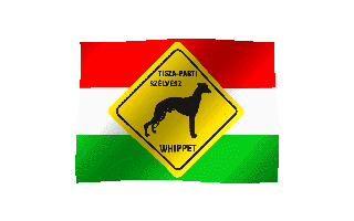 Tisza-parti Szlvsz whippets logo flag